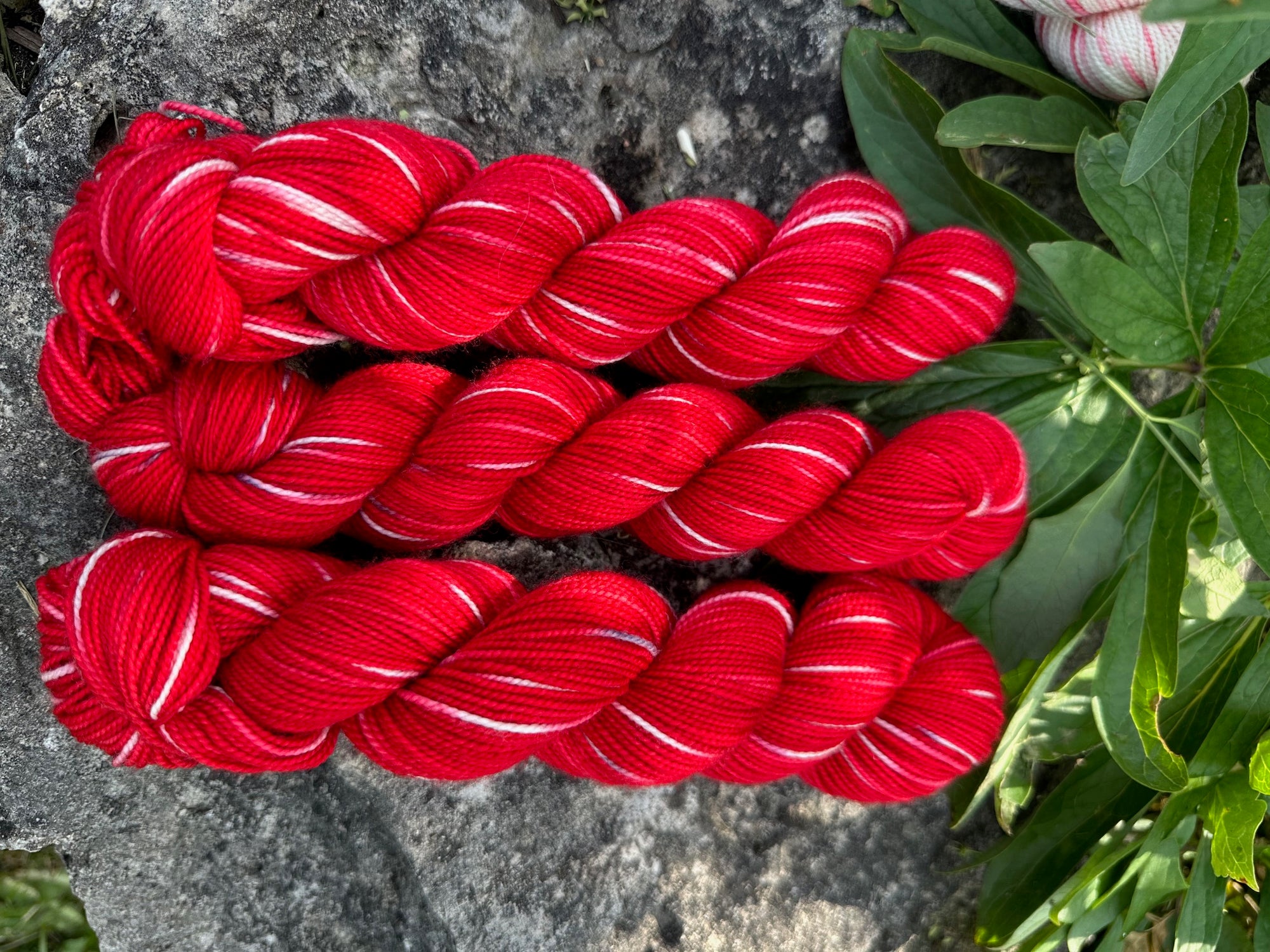Canada Day Collector Colours (wholesale)