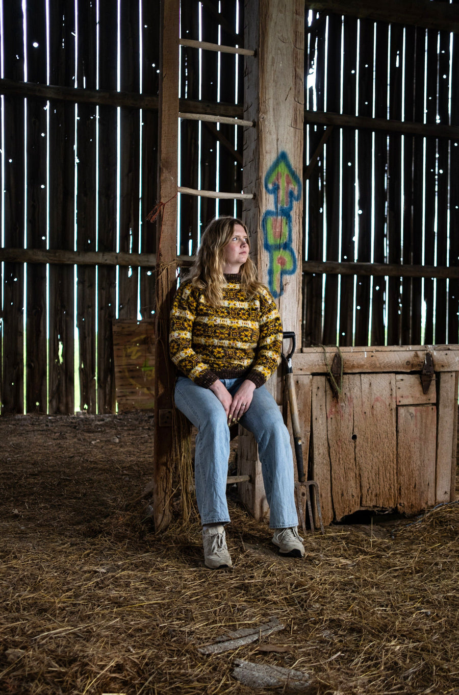 Visions of Spring Sweater Kit