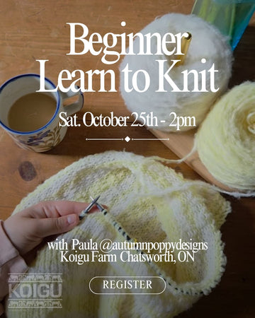 CHANGED Beginner Learn to Knit Workshop - October 25 2:00PM
