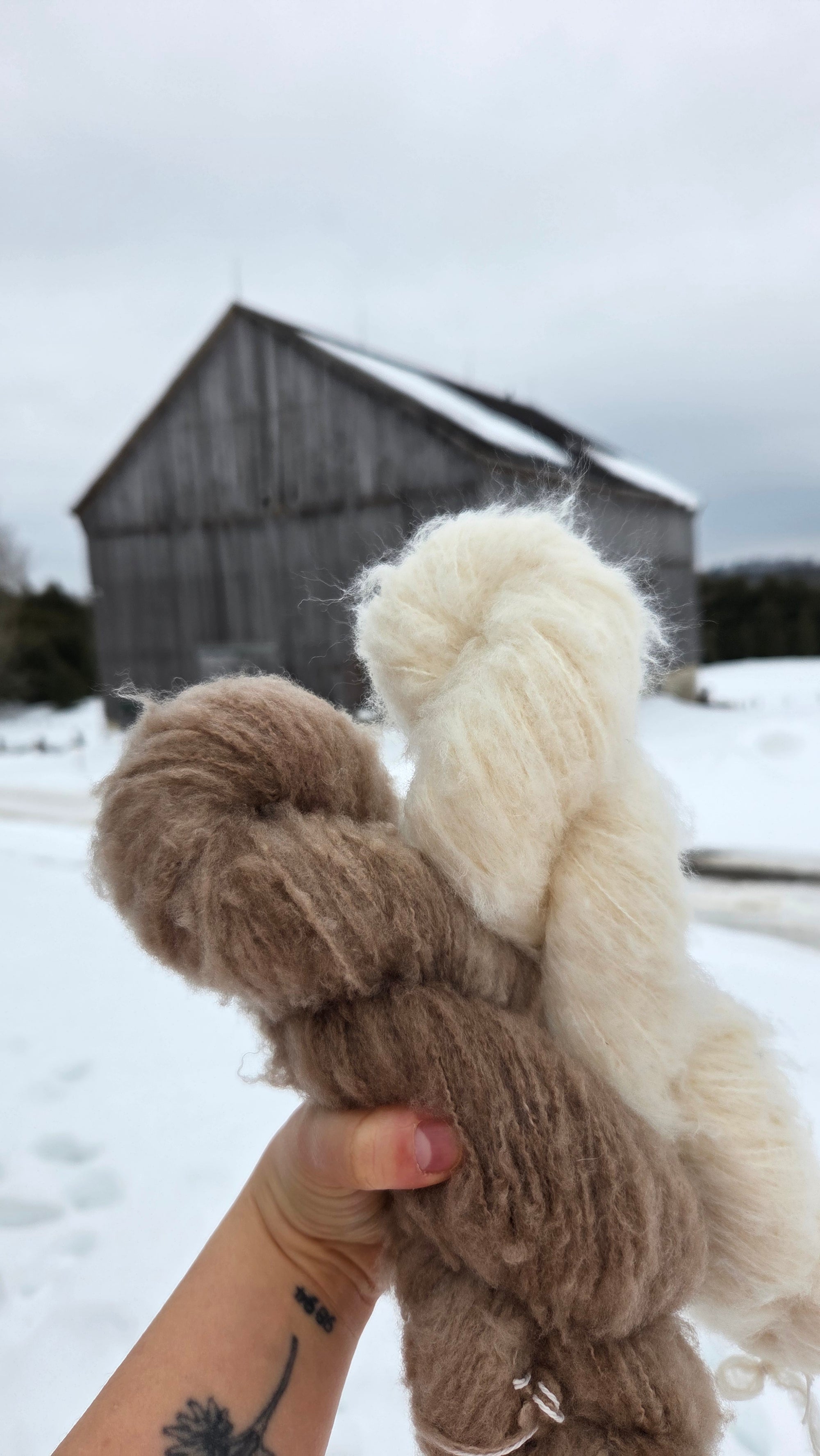 Andra - 10 skeins - Brushed Extra fine Merino (wholesale)