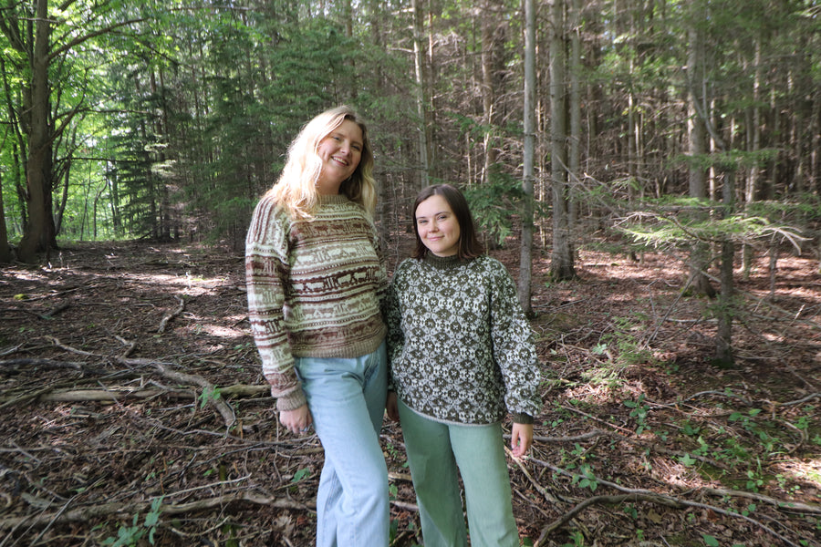 Koigu Sheep Sweater Kit