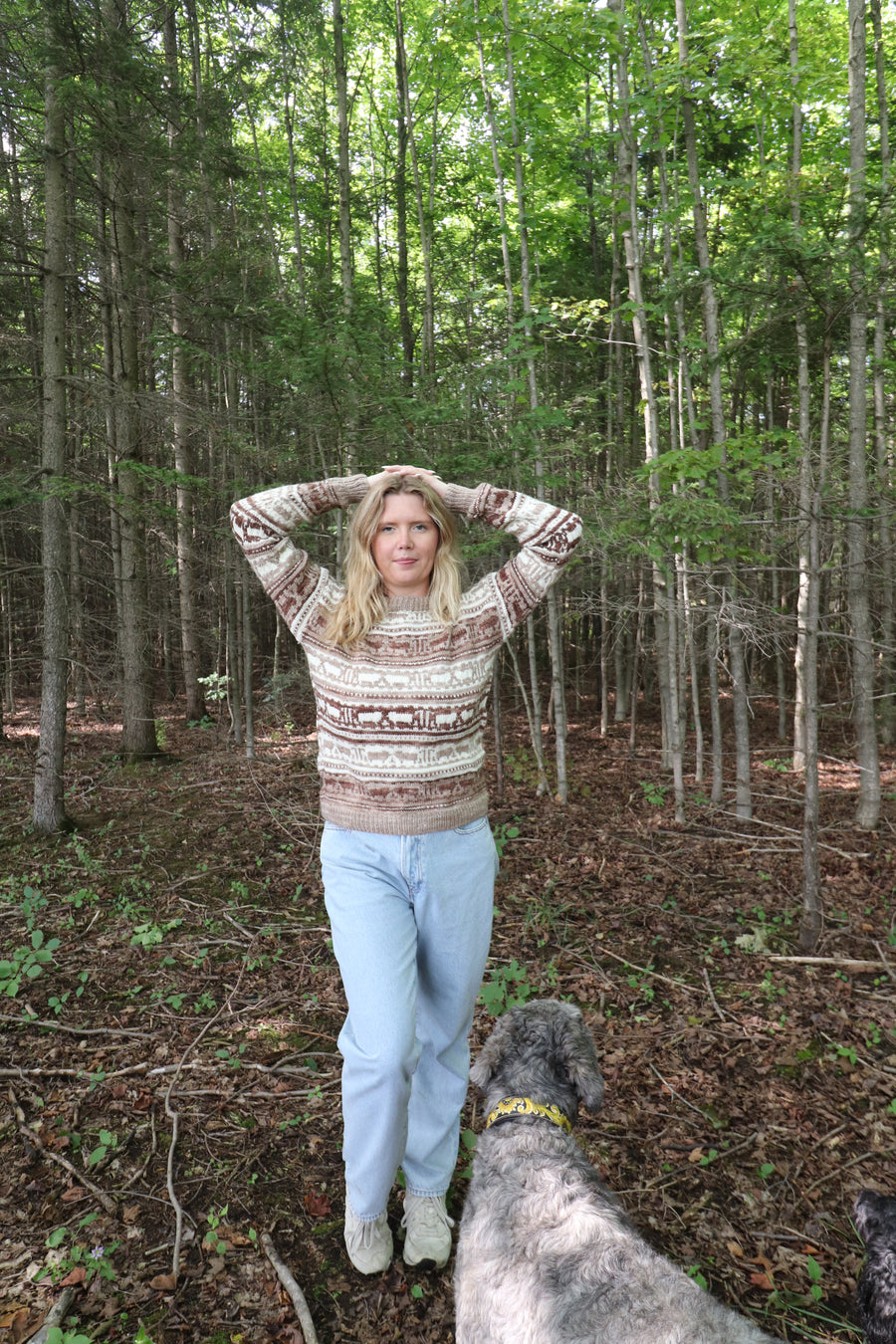 Koigu Sheep Sweater Kit