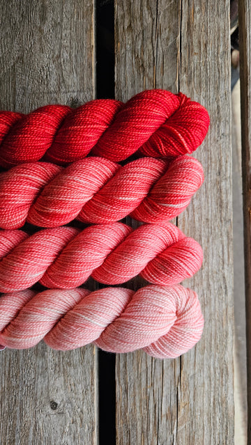 KPM Carmine Solid Colour Family (wholesale)