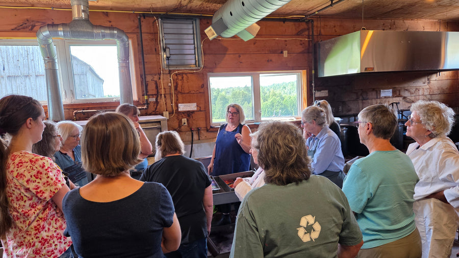 Yarn Dyeing Workshop - March 5th 6:30pm