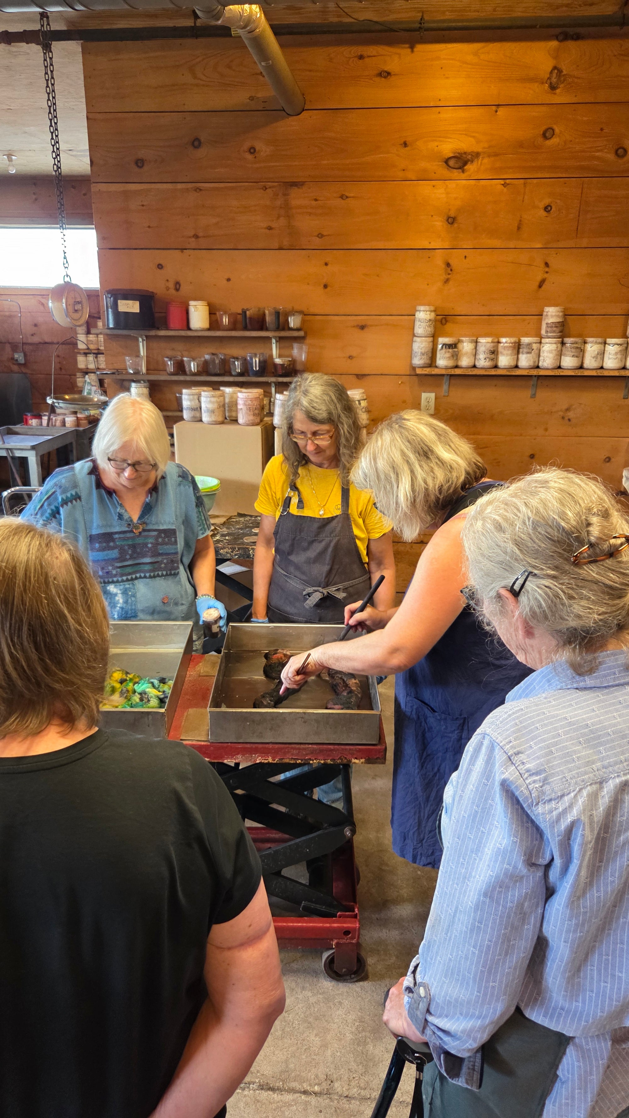Yarn Dyeing Workshop - April 10th 2pm
