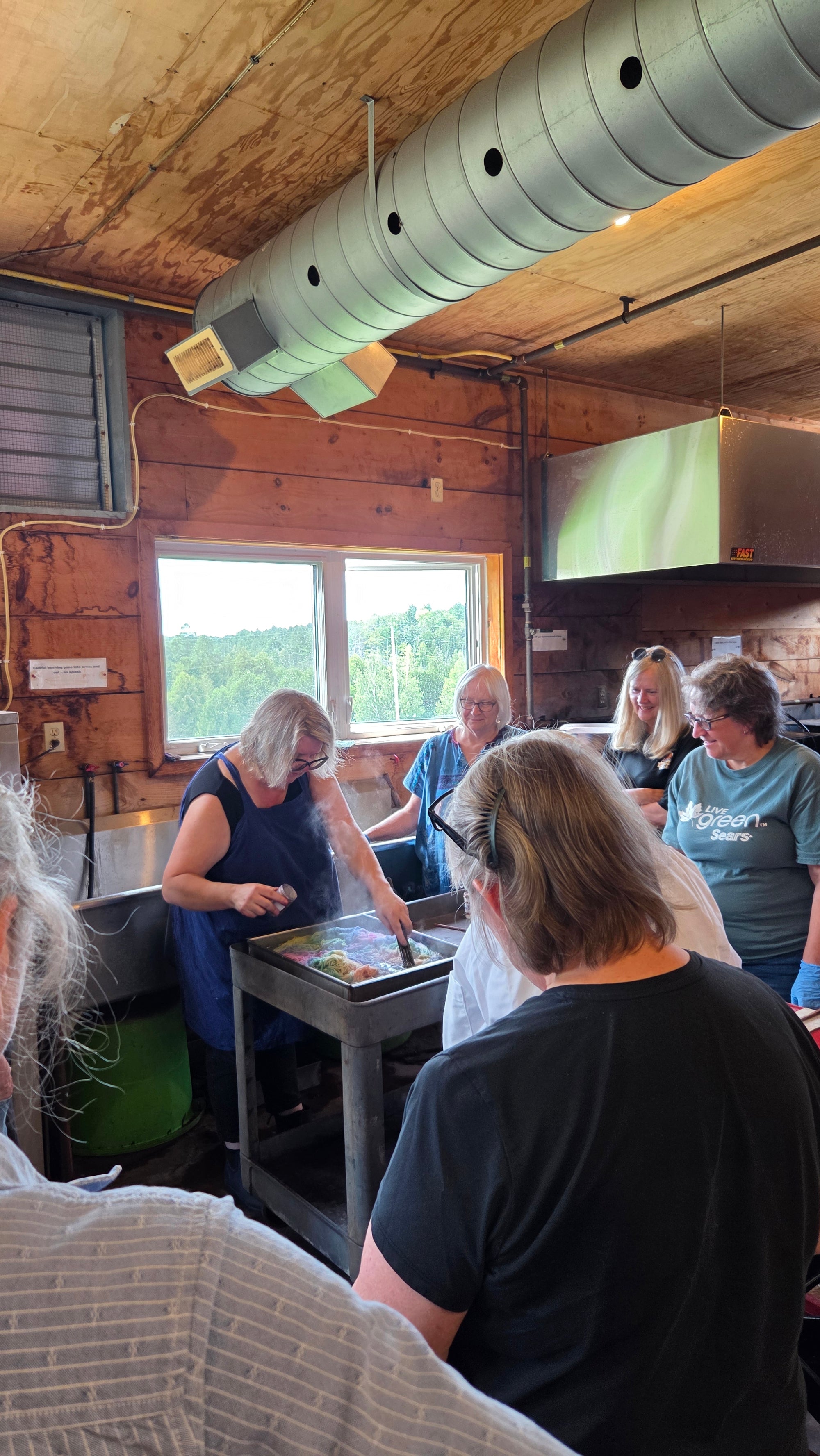 Yarn Dyeing Workshop - April 10th 2pm