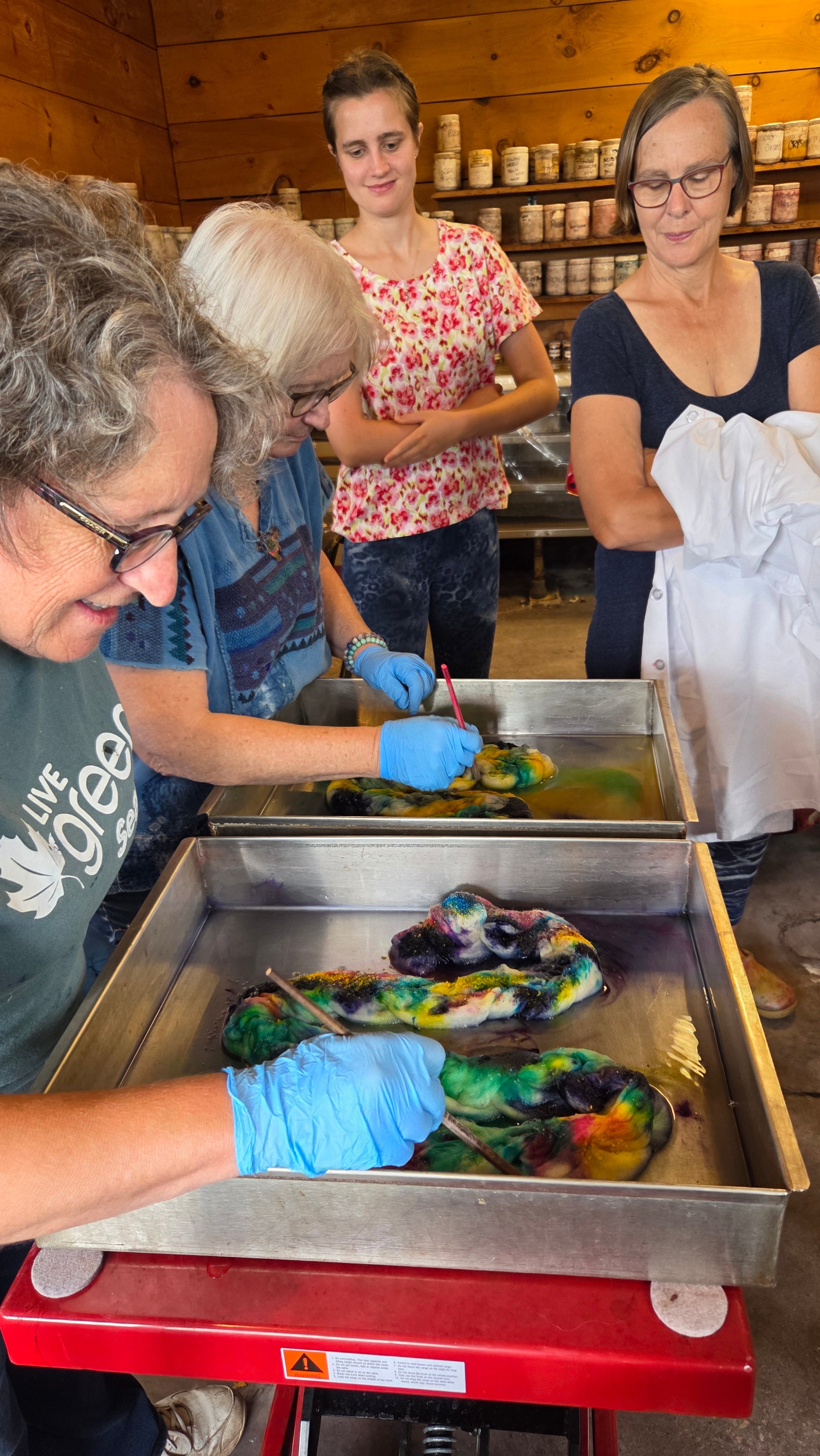 Yarn Dyeing Workshop - April 10th 2pm