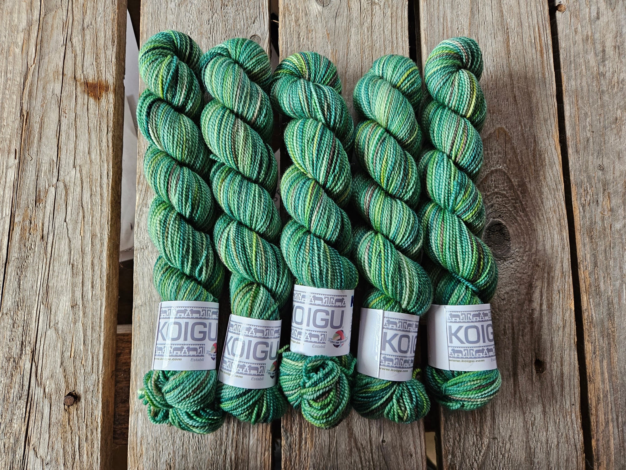 Koigu Collector Originals