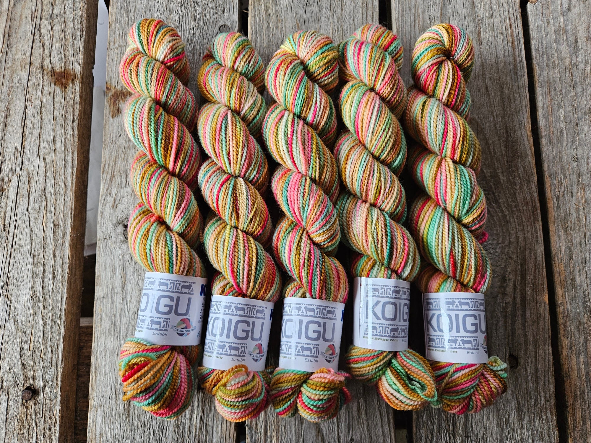Koigu Collector Originals
