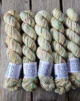 Koigu Collector Originals