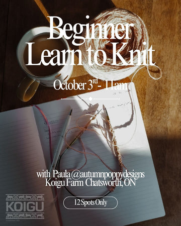 Beginner Learn to Knit Workshop - October 3rd 11:00AM