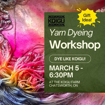 Yarn Dyeing Workshop - March 5th 6:30pm
