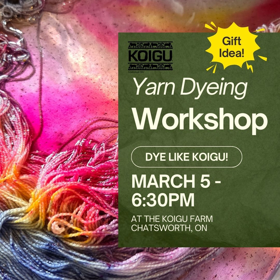 Yarn Dyeing Workshop - March 5th 6:30pm