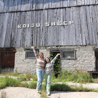 Koigu Sheep Sweater Kit