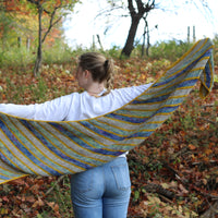 Suvihari Shawl Kit