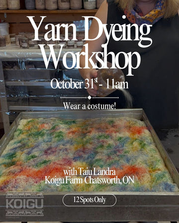 Yarn Dyeing Workshop - October 31st 11:00AM