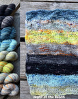 Charleston Sunset Sweater Yarn Pack