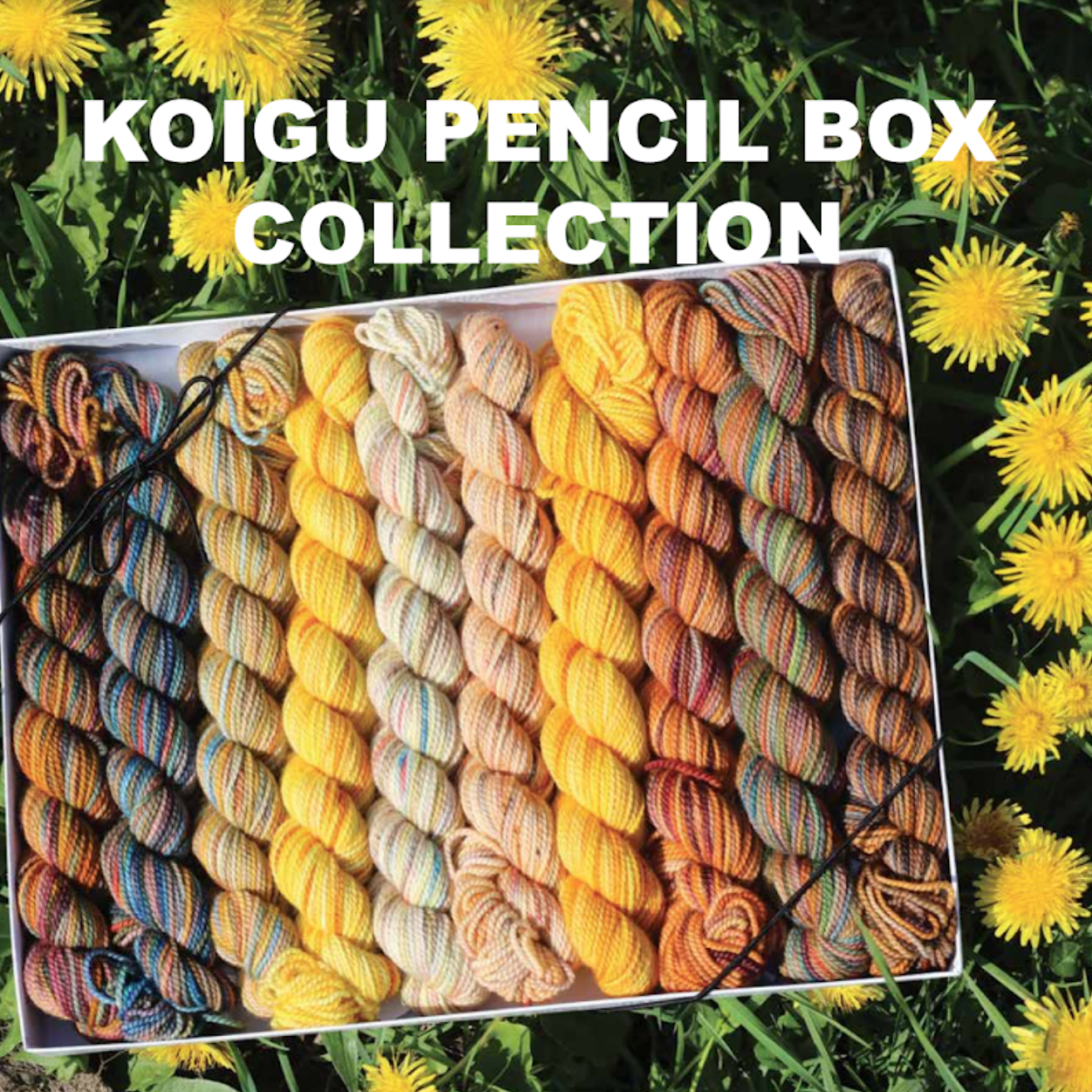 Koigu Pencil Box Collection - Print