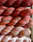 Koigu Fade Packs for Joji’s La Prairie