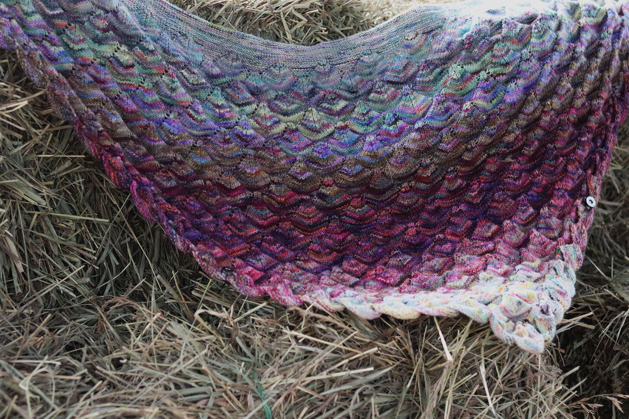 Koigu Pencil Box Collection  3.0 BOOK PRINT